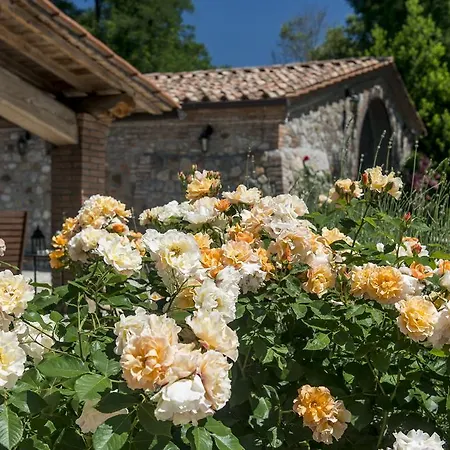 Farm stay Agriturismo I Gergoni *